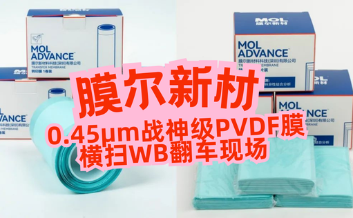 “膜”力加倍！膜尔新材战神级PVDF膜横扫WB翻车现场—0.45μm精准孔径狙杀各类蛋白，背景纯净如冰川